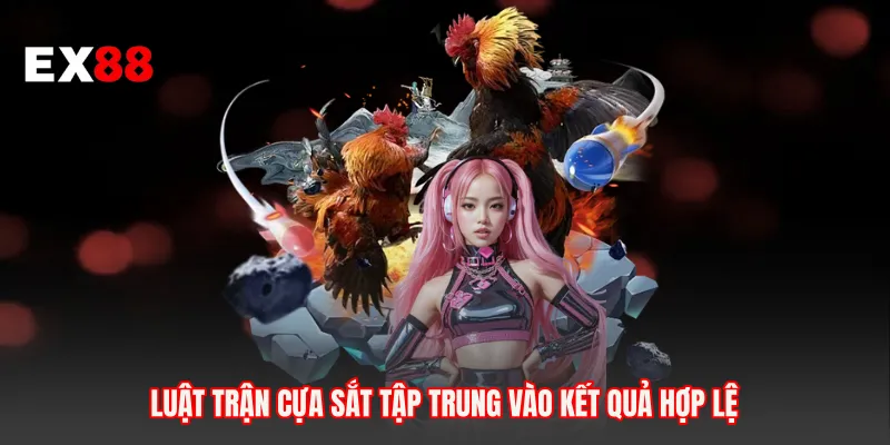 Luật trận cựa sắt tập trung vào kết quả hợp lệ