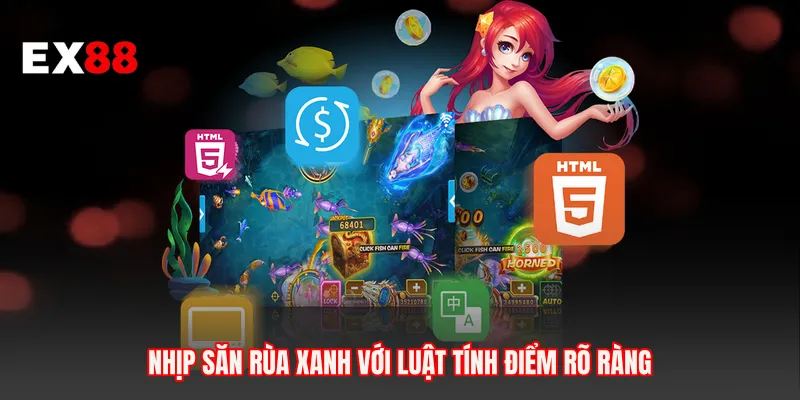 Nhịp săn rùa xanh với luật tính điểm rõ ràng