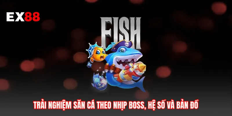 Trải nghiệm săn cá theo nhịp boss, hệ số và bản đồ